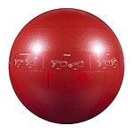 GoFit 1200lb Professional Core Stability Ball, 65 cm, Red- 1 ea