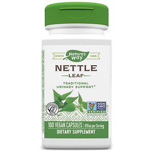 nettle herb