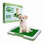 PAW Puppy Potty Trainer The Indoor Restroom for Pets